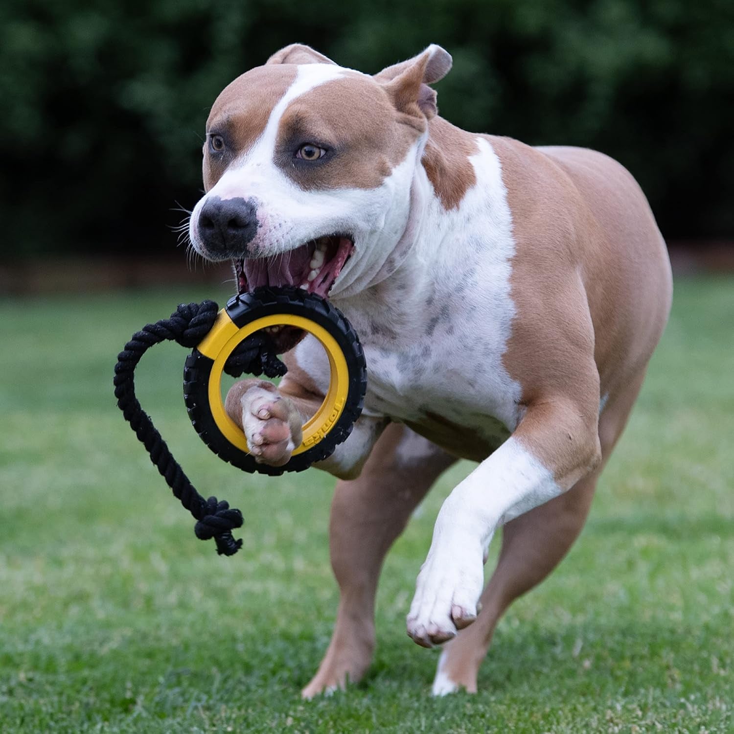 Mega Tread Rope Tug Dog Toy – Durable, Lightweight & Water-Resistant for Medium/Large Breeds