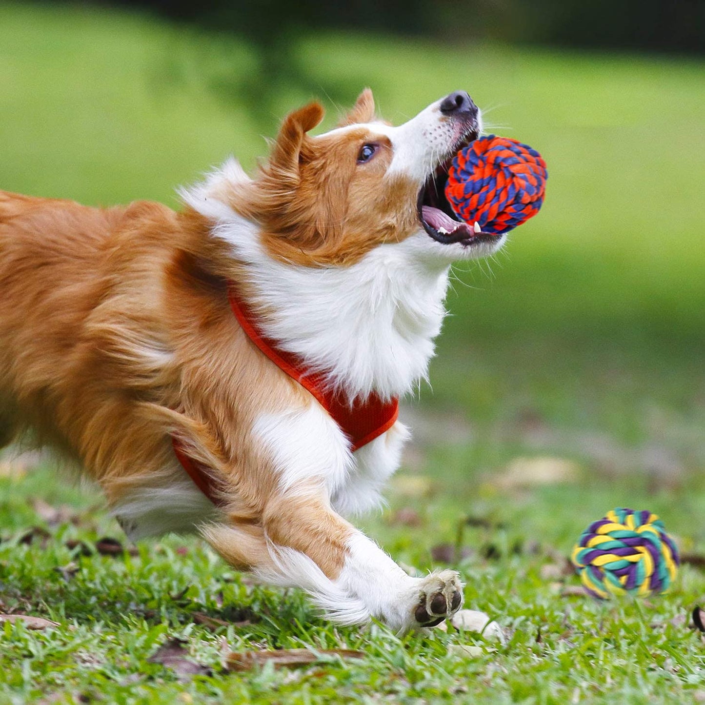 Durable Chew Toy Set for Aggressive Chewers – Heavy-Duty Rope Toys for Large & Medium Dogs