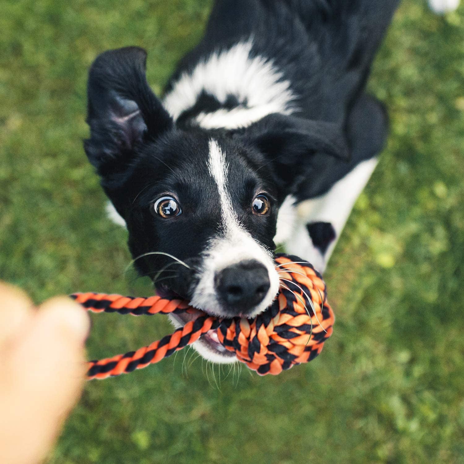 Durable Chew Toy Set for Aggressive Chewers – Heavy-Duty Rope Toys for Large & Medium Dogs